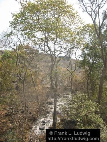 Sanjay Gandhi National Park, Borivali National Park, Maharashtra, Bombay, Mumbai, India